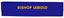 Picture of Bishop Leibold Sport Headband by All Sport W7000 - Royal, Gold or White