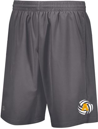 Picture of Alter Boys Volleyball Weld Shorts w/ pockets by Holloway