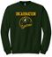 Picture of Incarnation - Unisex - Crewneck Sweatshirts by Gildan 18000 - Green