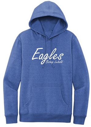 Picture of Bishop Leibold - Youth & Adult/Unisex - Fleece Hoodie by District DT6100(y) - Royal Frost