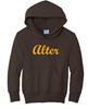Picture of Alter High School - Adult/Unisex - Heavy Blend Hooded Sweatshirt w/ Script Logo by Gildan 18500 - Brown or Gold