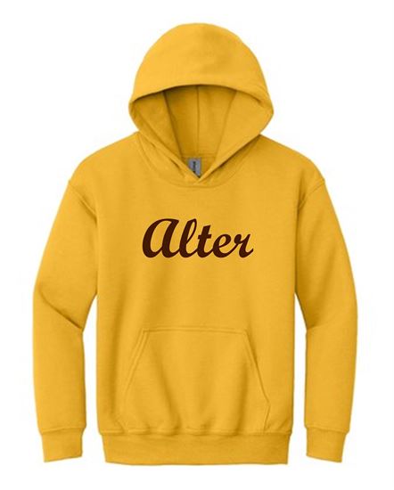 Picture of Alter High School - Adult/Unisex - Heavy Blend Hooded Sweatshirt w/ Script Logo by Gildan 18500 - Brown or Gold