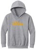 Picture of Alter - Youth - Hooded Sweatshirt w/ Cursive "Alter" logo 18500b/PC90YH - Brown, Sports Grey, Gold, or White