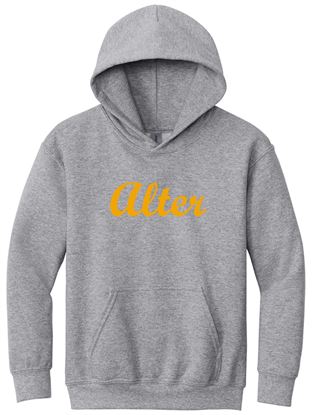Picture of Alter - Youth - Hooded Sweatshirt w/ Cursive "Alter" logo 18500b/PC90YH - Brown, Sports Grey, Gold, or White