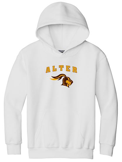 Picture of Alter - Youth - Hooded Sweatshirt 18500b - Sports Grey or White