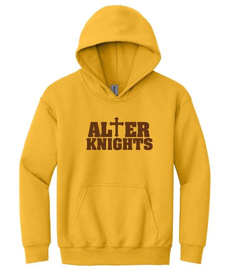 Picture of Alter - Youth - Hooded Sweatshirt 18500b - Gold, Sports Grey, or White