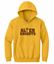 Picture of Alter - Youth - Hooded Sweatshirt 18500b - Gold, Sports Grey, or White