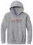 Picture of Alter - Youth - Hooded Sweatshirt 18500b - Gold, Sports Grey, or White