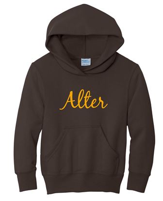 Picture of Alter - Youth - Hooded Sweatshirt w/ Glitter Logo  18500b/PC90YH - Brown, Gold, Sports Grey, or White