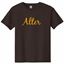 Picture of Alter - Youth - Short Sleeve Tee Alter Glitter Logo 5000b/8000b - Brown, White, Gold, or Sports Grey