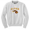 Picture of Alter - Youth - Crewneck Sweatshirt 18000b - Sports Grey or White