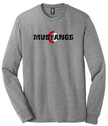 Picture of CinDay Academy - Youth/Unisex - Long Sleeve Core Cotton Tee w/ Mustangs Logo by Port & Company DM132(Y)- Grey Frost