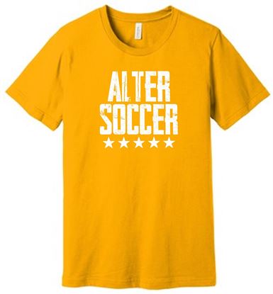 Picture of Alter Boys Soccer - Unisex - Jersey Short Sleeve Tee by Bella + Canvas 3001 - Gold or Vintage Brown 1 color logo