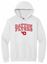 Picture of Dayton Flyers - Unisex - Heavy Blend Hooded Sweatshirt by Gildan 18500 - White, Black, Carolina Blue, or Navy