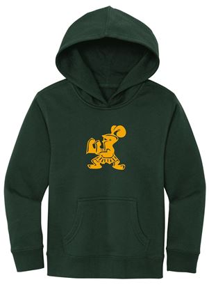 Picture of Incarnation - Youth & Adult/Unisex - V.I.T. Fleece Hoodie by District DT6100(Y) - Forest Green or Rosewater Pink