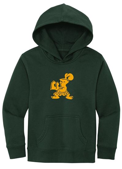 Picture of Incarnation - Youth & Adult/Unisex - V.I.T. Fleece Hoodie by District DT6100(Y) - Forest Green or Rosewater Pink