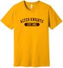 Picture of Alter High School - Adult/Unisex - Jersey Short Sleeve Tee w/ Logo Choice by Bella+Canvas BC3001 - Gold