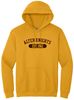 Picture of Alter High School - Adult/Unisex - Heavy Blend Hooded Sweatshirt w/ Logo Choice by Gildan 18500 - Gold
