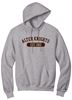 Picture of Alter High School - Adult/Unisex - Powerblend Hooded Sweatshirt w/ Logo Choice by Champion S700 - Light Steel