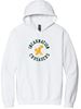 Picture of NEW!!! SUPER SOFT HOODIE! Incarnation Youth/Unisex  2 Color Circle Hooded Sweatshirt By Gildan - SF500(B) - Grey, Pink, or White