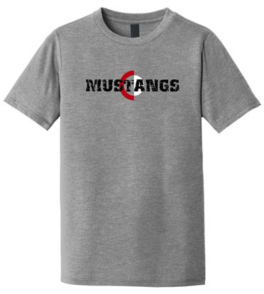 Picture of CinDay Academy - Youth/Unisex - Mustangs Tee by District DT130Y/DM130 - Grey Frost