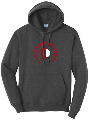 Picture of Clearance!! - CinDay Academy - Adult Medium - Core Fleece Pullover Hooded Sweatshirt by Port & Co PC78H - Dark Heather Grey - 1 Left!