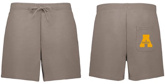 Picture of Alter Lancerettes - Ladies - Heavy Weight Heritage Prep Shorts  by Holloway 223783 - Mink