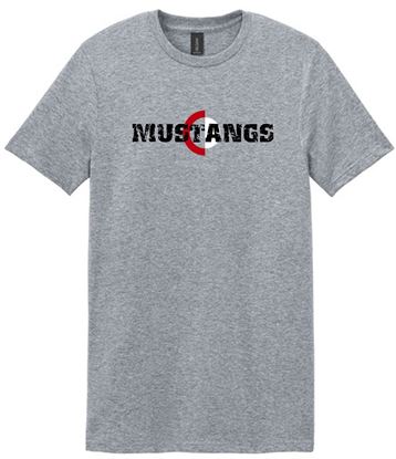 Picture of The CinDay Academy - Youth & Adult/Unisex - Softstyle Tee by Gildan 64000(B) - Sports Grey