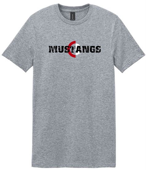 Picture of The Cinday Academy - Youth & Adult/Unisex - Softstyle Tee by Gildan 64000(B) - Sports Grey