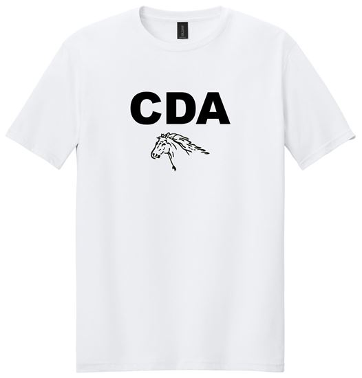 Picture of The Cinday Academy - Youth & Adult/Unisex - Softstyle Tee by Gildan 64000(B) - Red, Sports Grey, or White