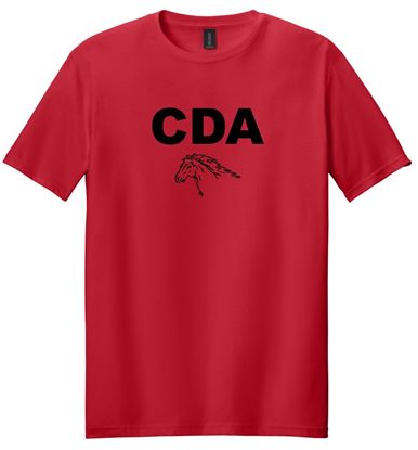 Picture of The CinDay Academy - Youth & Adult/Unisex - Softstyle Tee by Gildan 64000(B) - Red, Sports Grey, or White