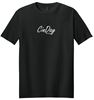 Picture of The CinDay Academy - Youth & Adult/Unisex - Softstyle Tee by Gildan 64000(B) - Black, Red, or Sports Grey