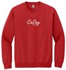 Picture of The CinDay Academy - Youth & Adult/Unisex - Heavy Blend Crewneck Sweatshirt 18000(b) - Black, Red, or Sports Grey