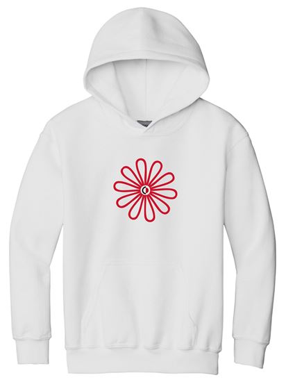 Picture of The CinDay Academy  - Youth & Adult/Unisex - Heavy Blend Hooded Sweatshirt by Gildan 18500(b)  - Ash or White