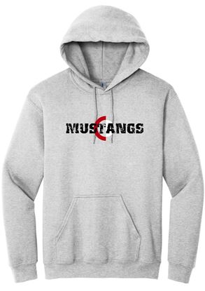 Picture of The CinDay Academy  - Youth & Adult/Unisex - Heavy Blend Hooded Sweatshirt by Gildan 18500(b)  - Ash