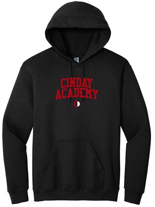 Picture of The CinDay Academy  - Youth & Adult/Unisex - Heavy Blend Hooded Sweatshirt by Gildan 18500(b)  - Ash or Black