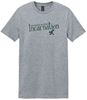 Picture of Incarnation - Youth & Adult/Unisex - Short Sleeve Tee - Ash, Gold, Light Pink, Sports Grey, or White