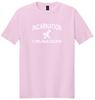 Picture of Incarnation - Youth & Adult/Unisex - Short Sleeve Tee - Gold, Forest Green, Light Pink, or Sports Grey
