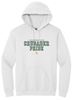 Picture of Incarnation - Youth & Adult/Unisex -  Heavy Blend Hooded Sweatshirt by Gildan 18500(B) - Ash, Light Pink, Sports Grey, or White