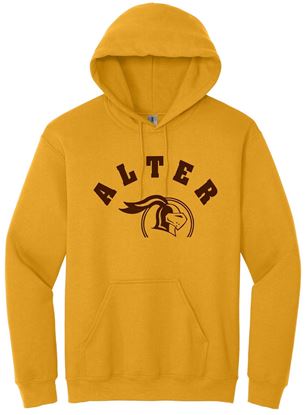 Picture of Alter - Youth - Hoodie by Gildan 18500B - Gold - CHOICE OF LOGO!