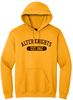 Picture of Alter High School - Adult/Unisex - Heavy Blend Hooded Sweatshirt w/ LOGO CHOICE by Gildan 18500 - Gold