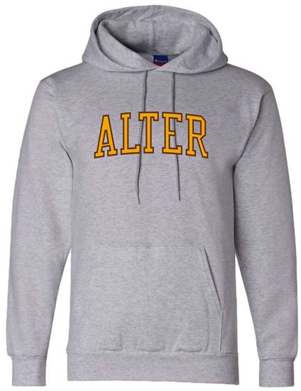 Picture of Alter High School - Adult/Unisex - Powerblend Hooded Sweatshirt w/ Logo Choice by Champion S700 - Light Steel